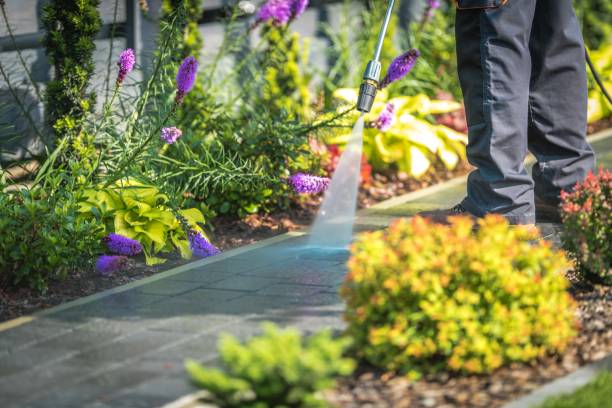 Trusted Mount Repose, OH  Pressure Washing Services Experts